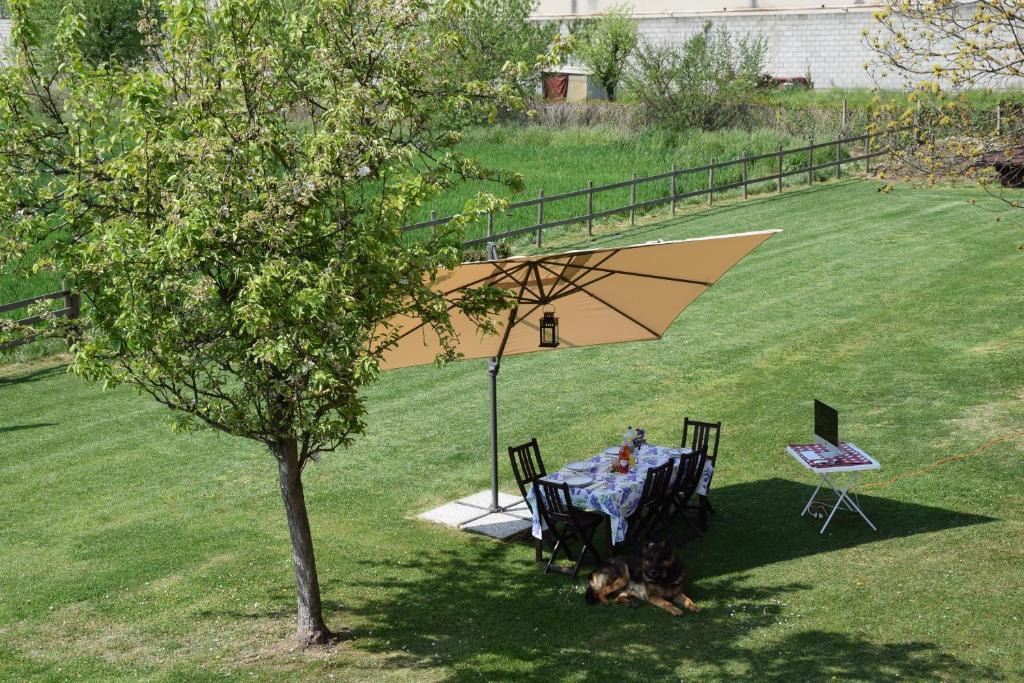 GINEVRA'S COUNTRY HOME photo 4