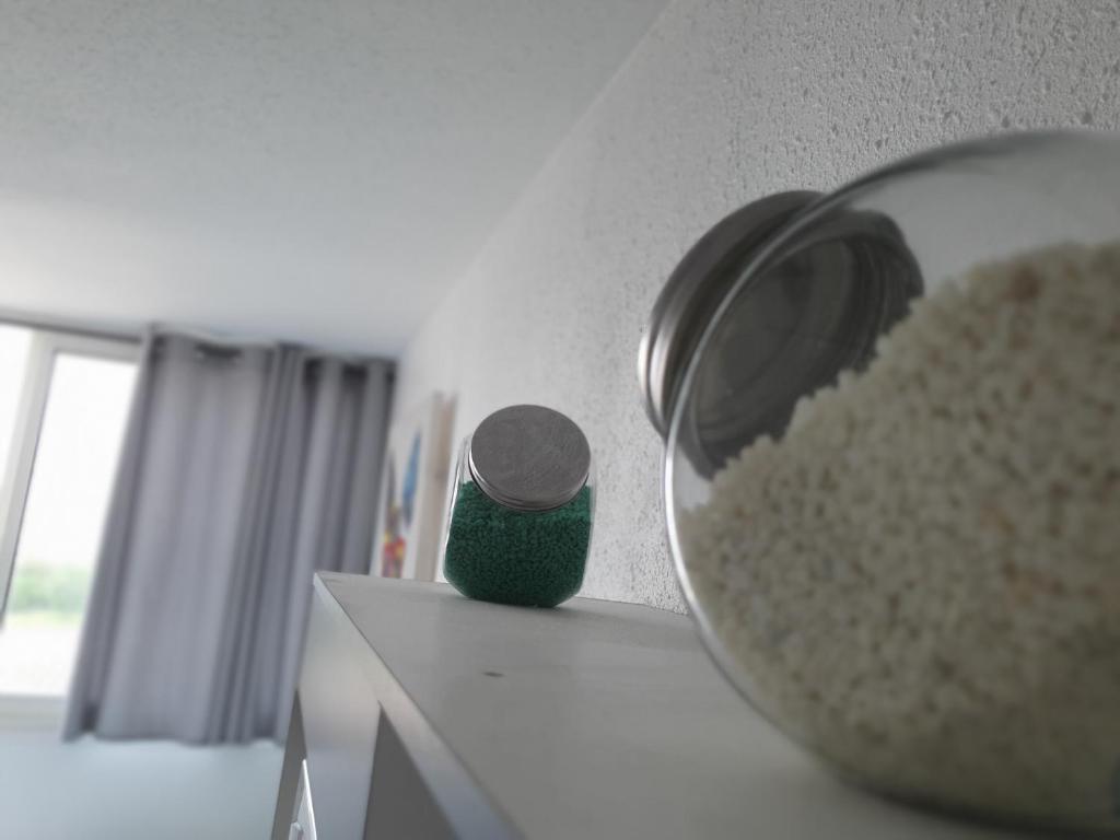 le studio du palais de la mer - 시설