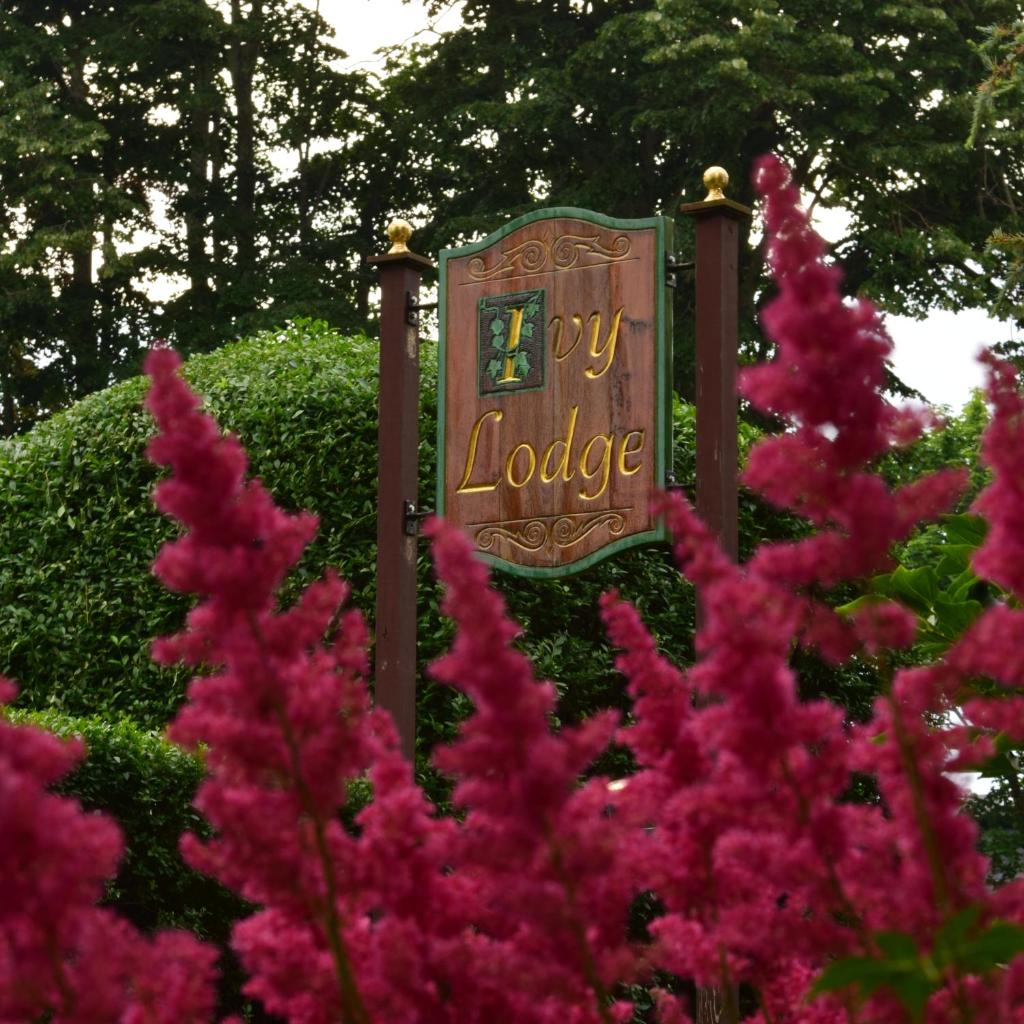 Ivy Lodge photo 3