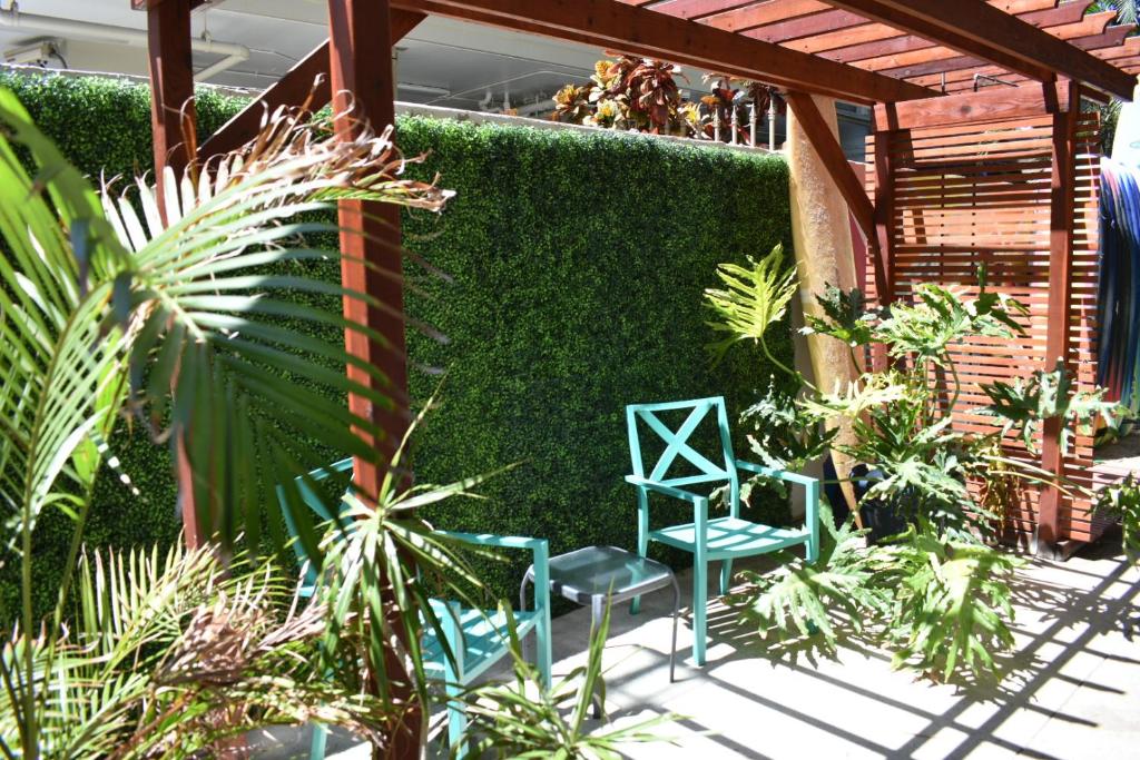 Polynesian Beach Club Hostel image