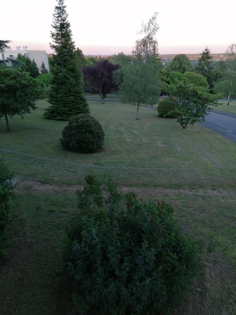 Appartement pres de beauval et des châteaux photo 3
