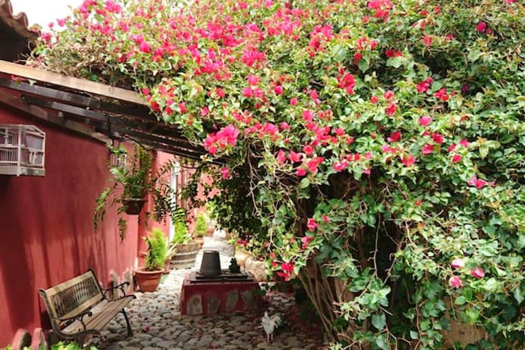 2 bedrooms house with enclosed garden and wifi at La Sabinita