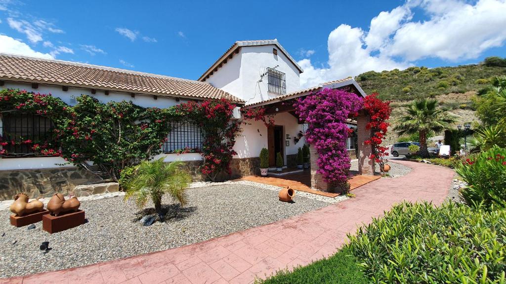 Bed & Breakfast | Guest House Casa Don Carlos photo 3