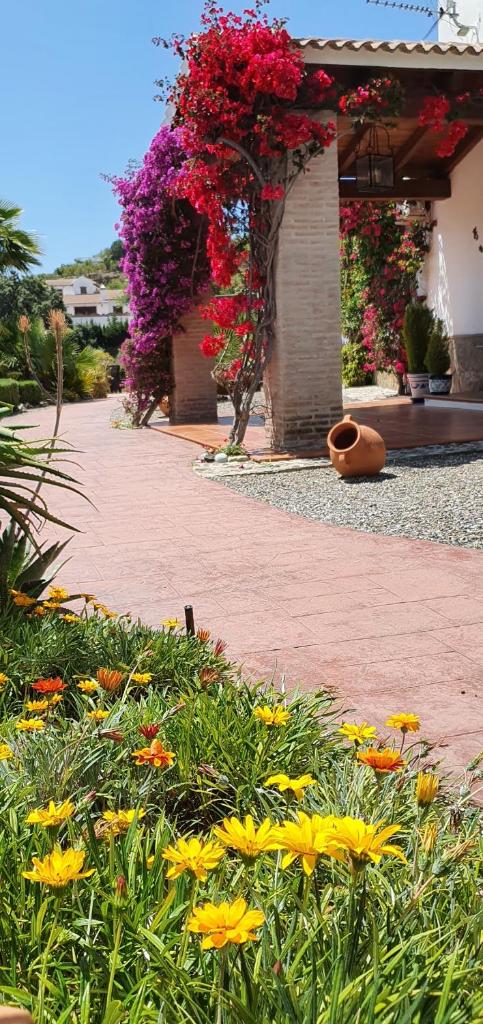 Bed & Breakfast | Guest House Casa Don Carlos photo 4