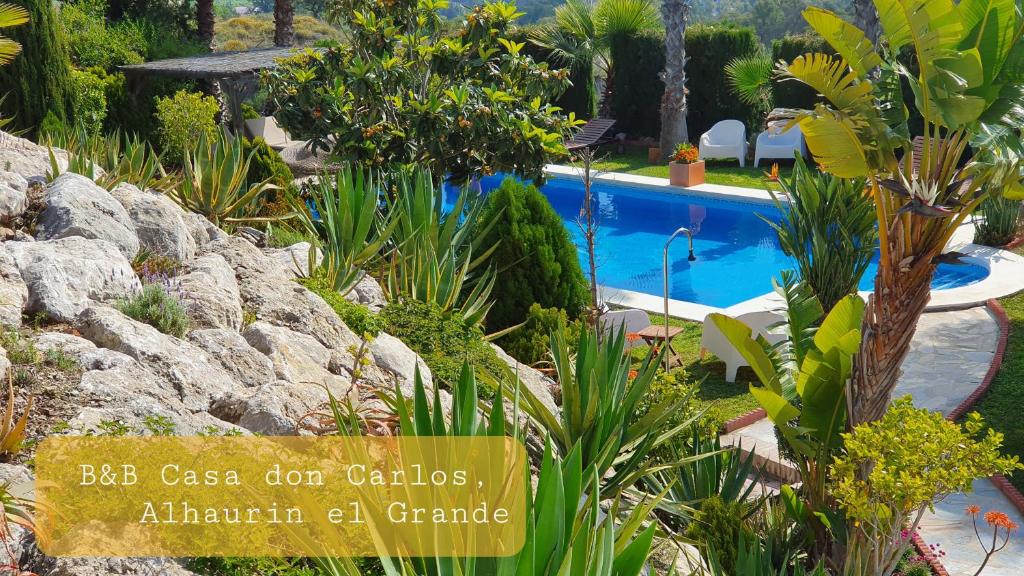 Bed & Breakfast | Guest House Casa Don Carlos photo 2