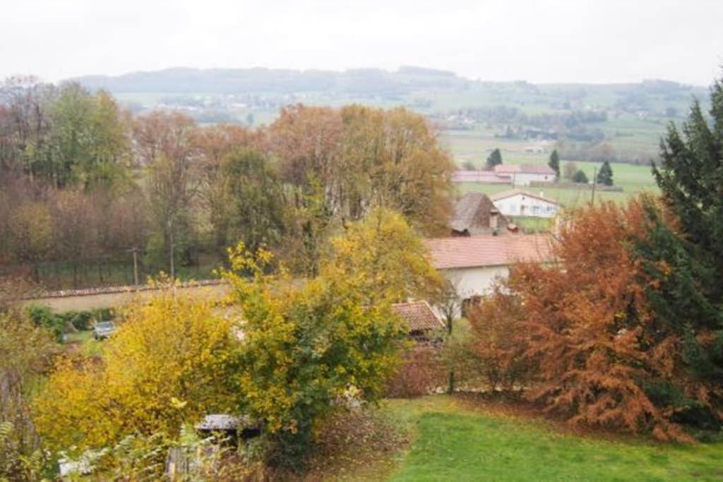Le Merle Enchanteur photo 1