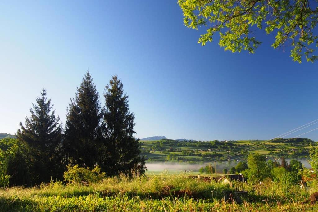 Le Merle Enchanteur photo 4
