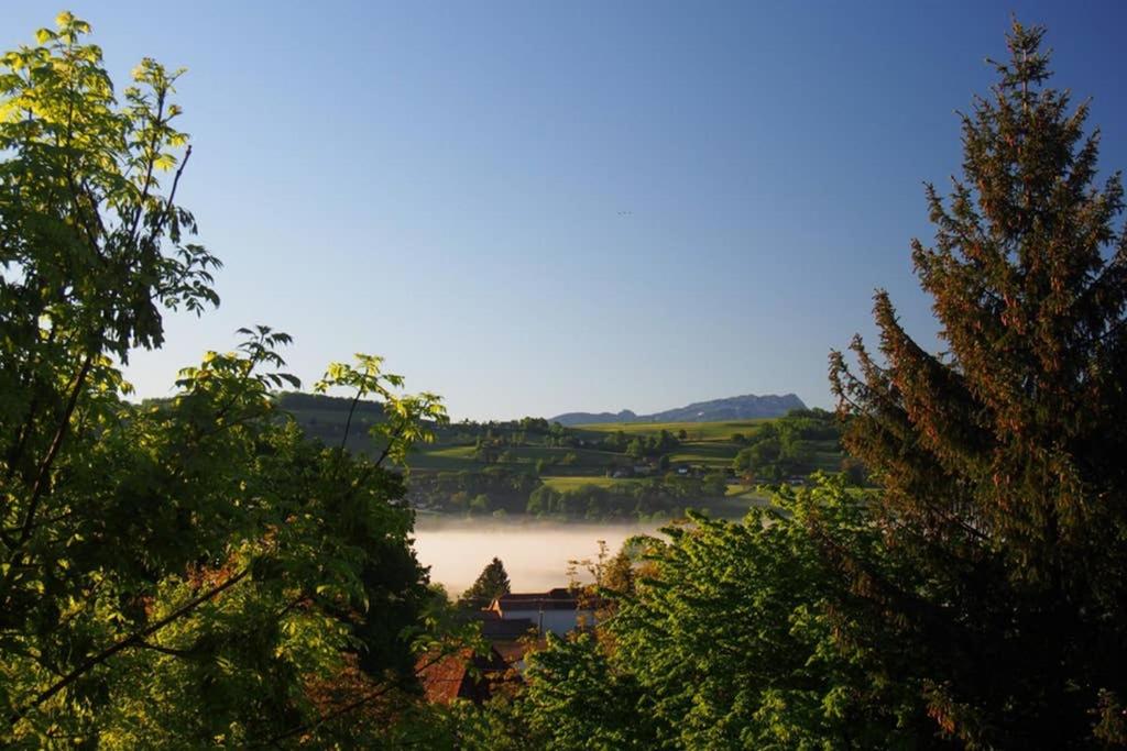 Le Merle Enchanteur photo 2