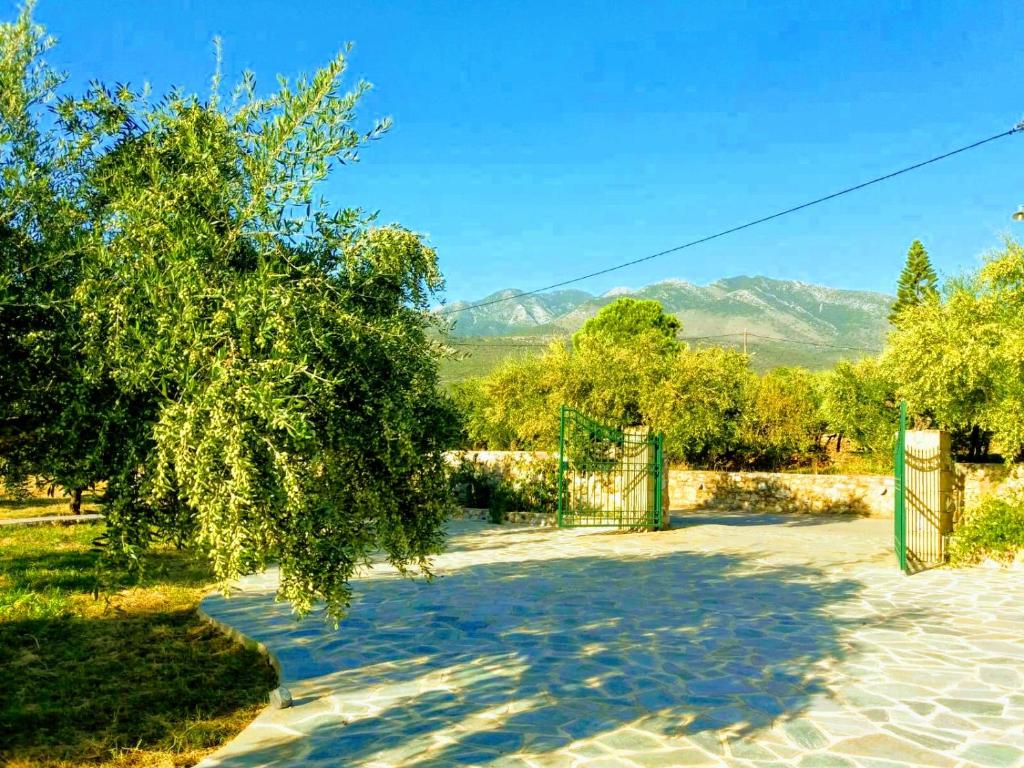 Villa Pefnos photo 2