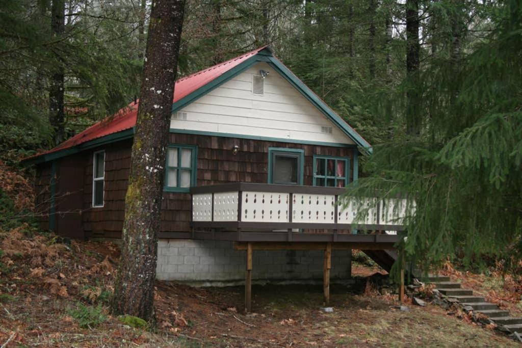 Mountainside Chalet - Tiny Home photo 1