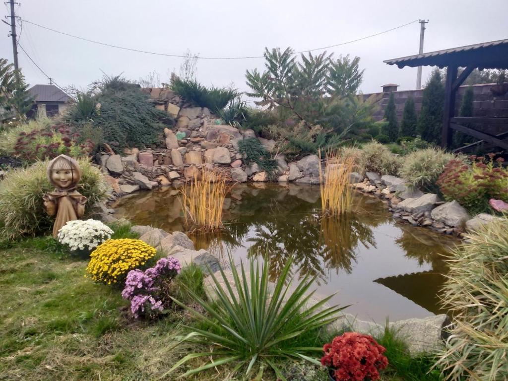 ШИНОК photo 4