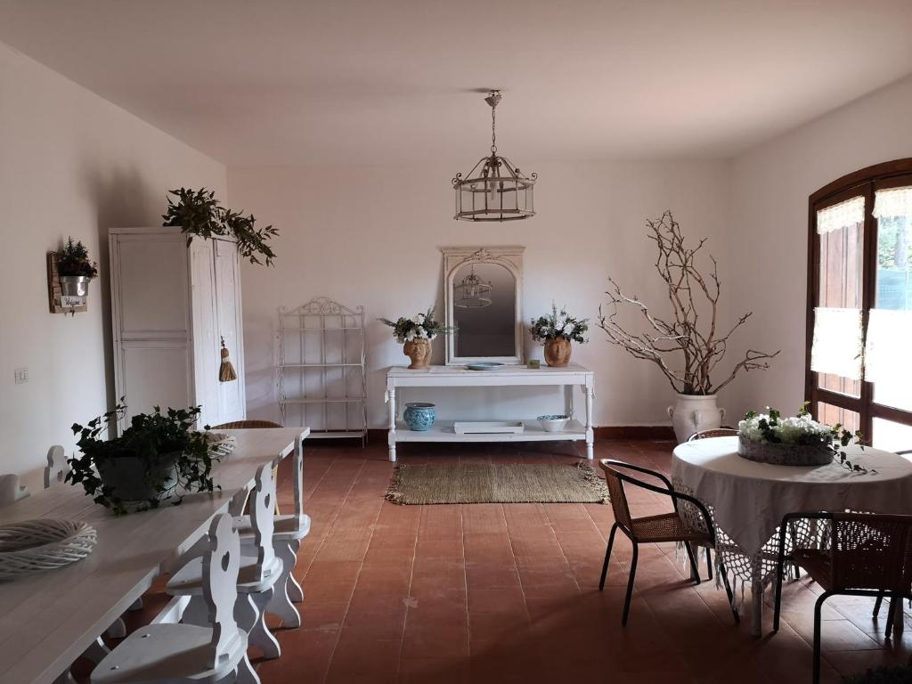 Casa degli Ulivi Etna photo 1