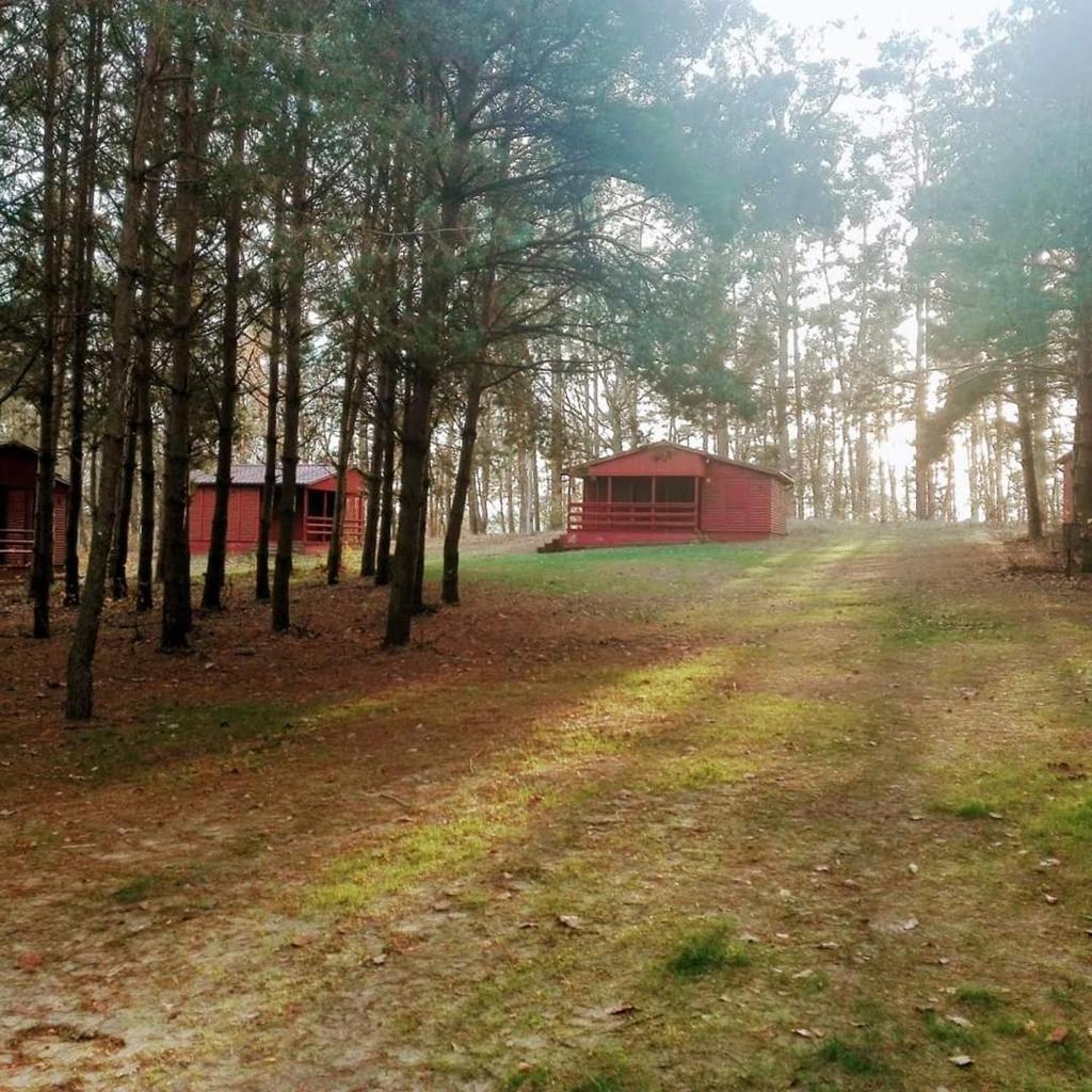 Harcerski Ośrodek Wypoczynkowy w Cichem photo 3