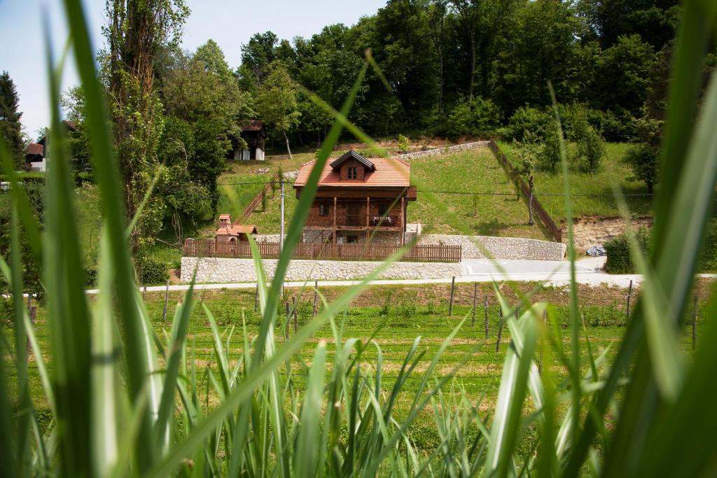 Vila Trnoružica photo 1