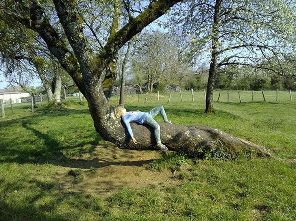 Au grain de Celles photo 4