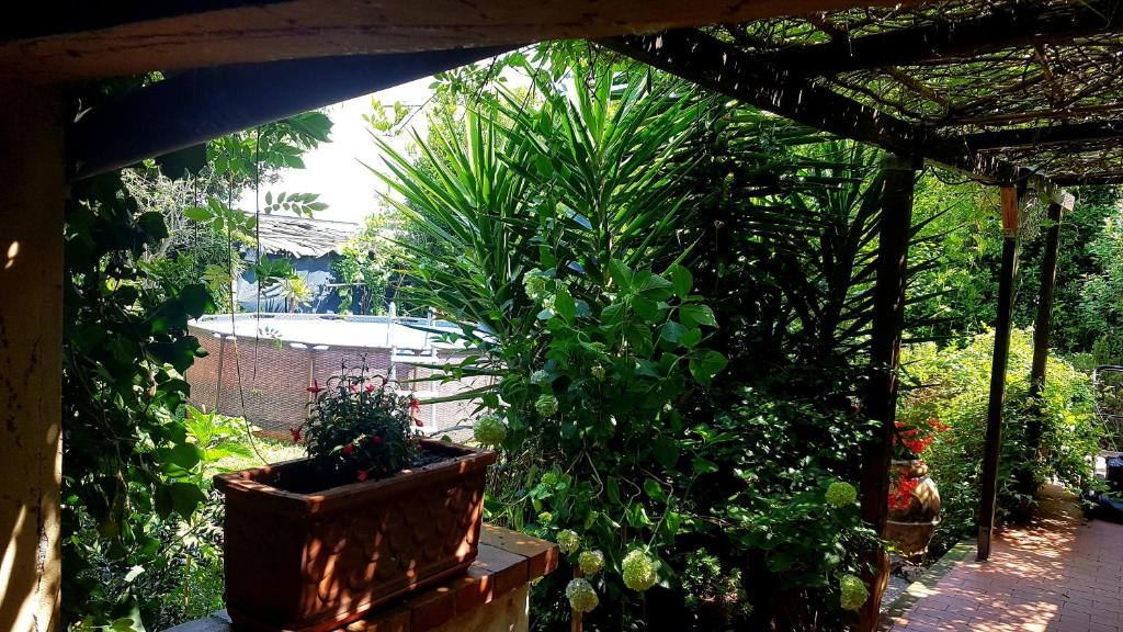 Casa Maya con giardino privato photo 3