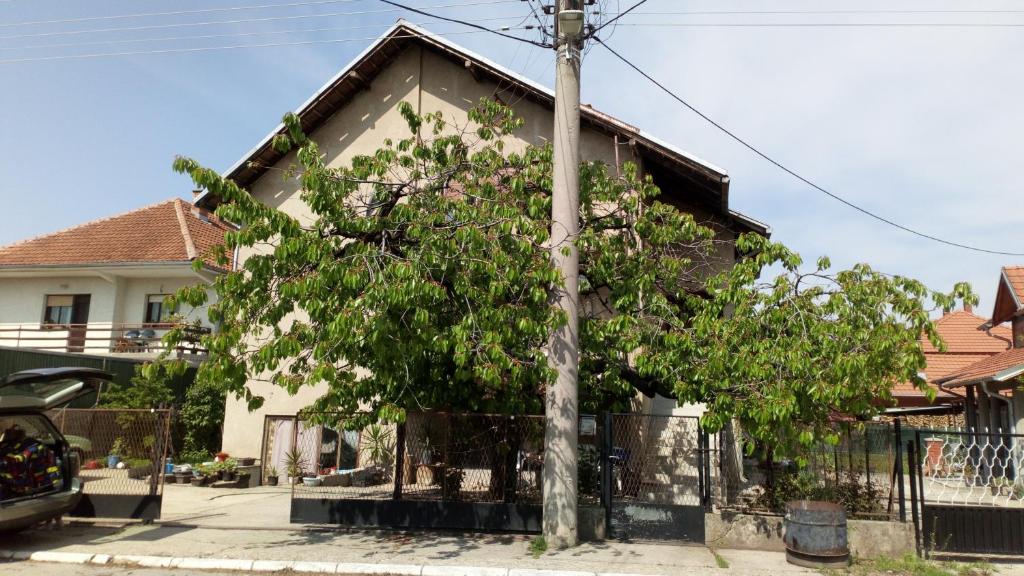 Apartman Santos photo 3