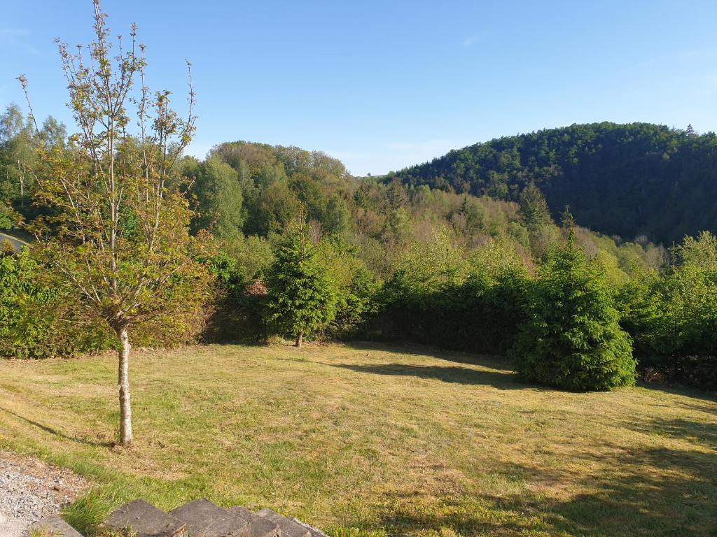 Chalet Bonne Humeur photo 3