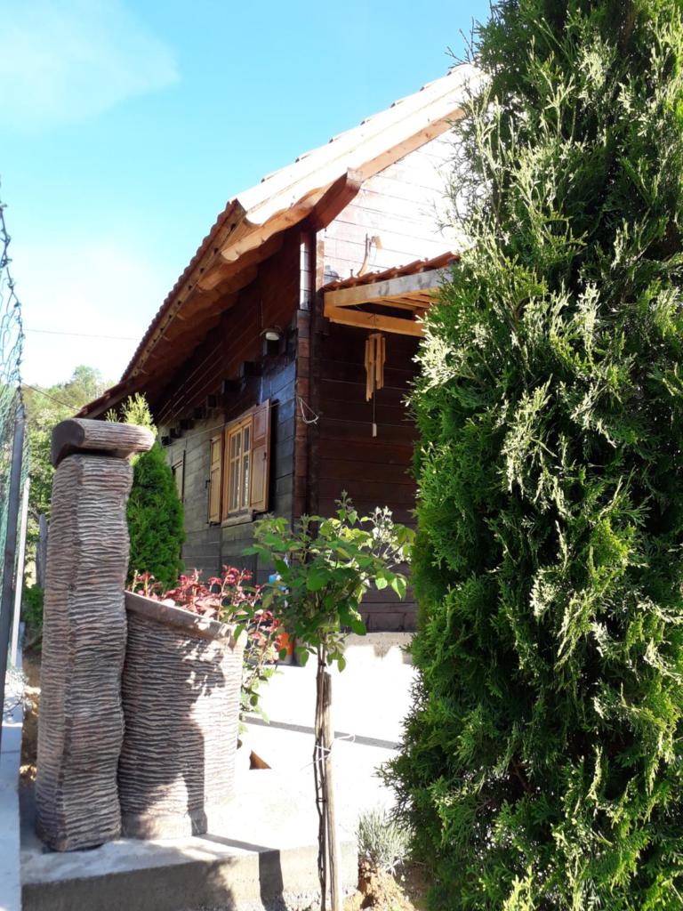 Stara Planina Stankovic photo 3