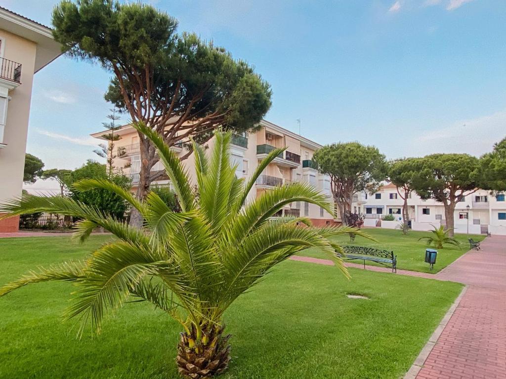 Apartamento de 3 habitaciones, zona muy tranquila a unos minutos de la playa photo 3