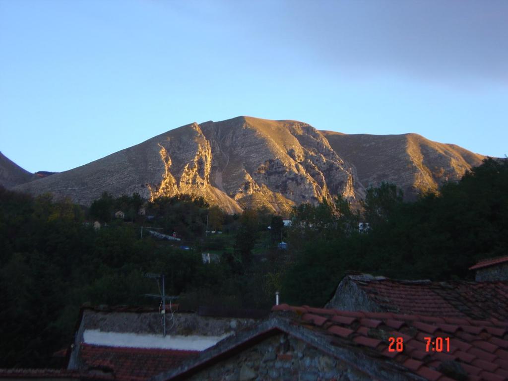 Gombereto 10 photo 2