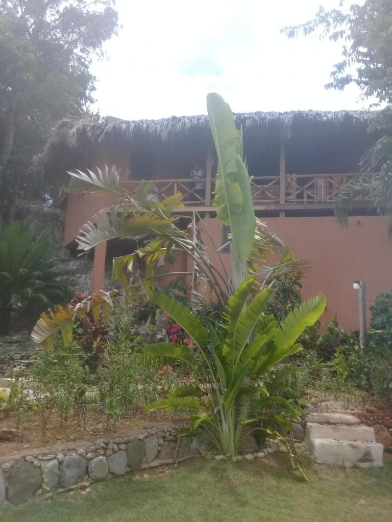 La Casa Del Arbol photo 2
