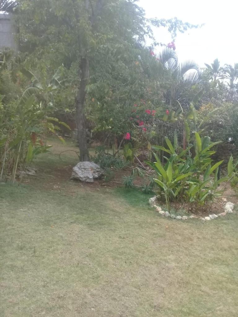 La Casa Del Arbol photo 1