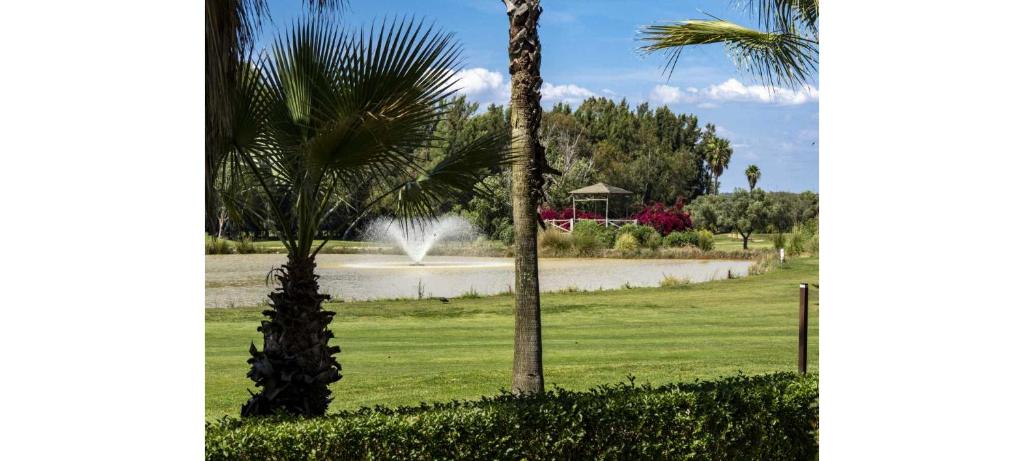 La Quinta II by HOMA photo 4