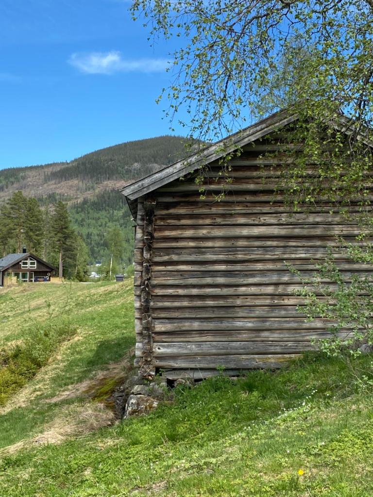 Tuddal Hyttegrend HYTTA KÅNS photo 2