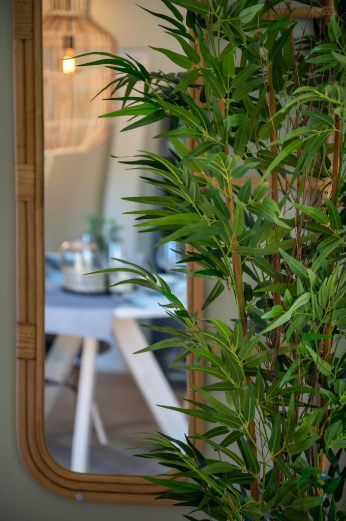 Beach Bungalow Ohana - private garden - close to local Lake, Dunes and Beach photo 1