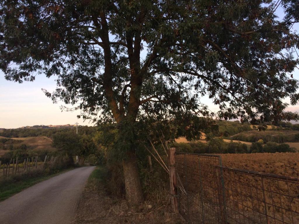 Tenuta Santa Maria photo 3