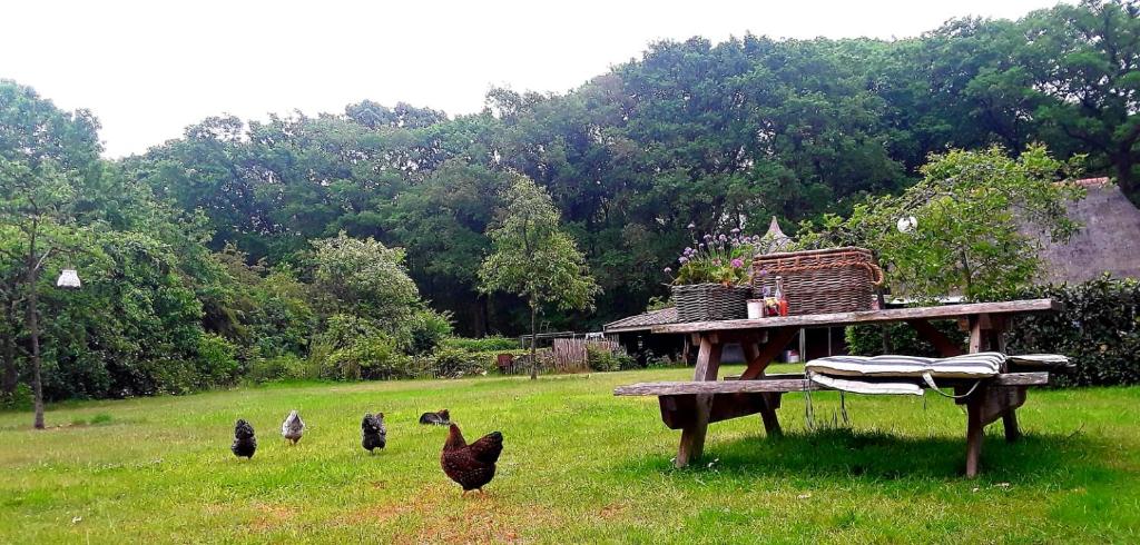 Bed & Breakfast Markelo photo 2