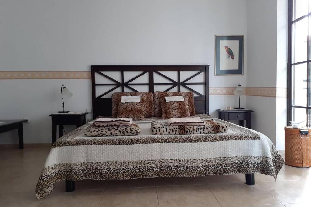 Studio at "The Cliff" complex South Beach Obzor, private appartment A2A5 photo 4
