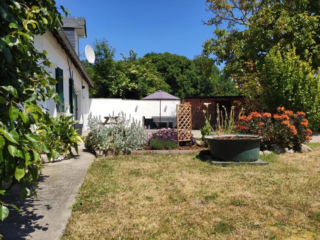 Gîte de la roseraie photo 4