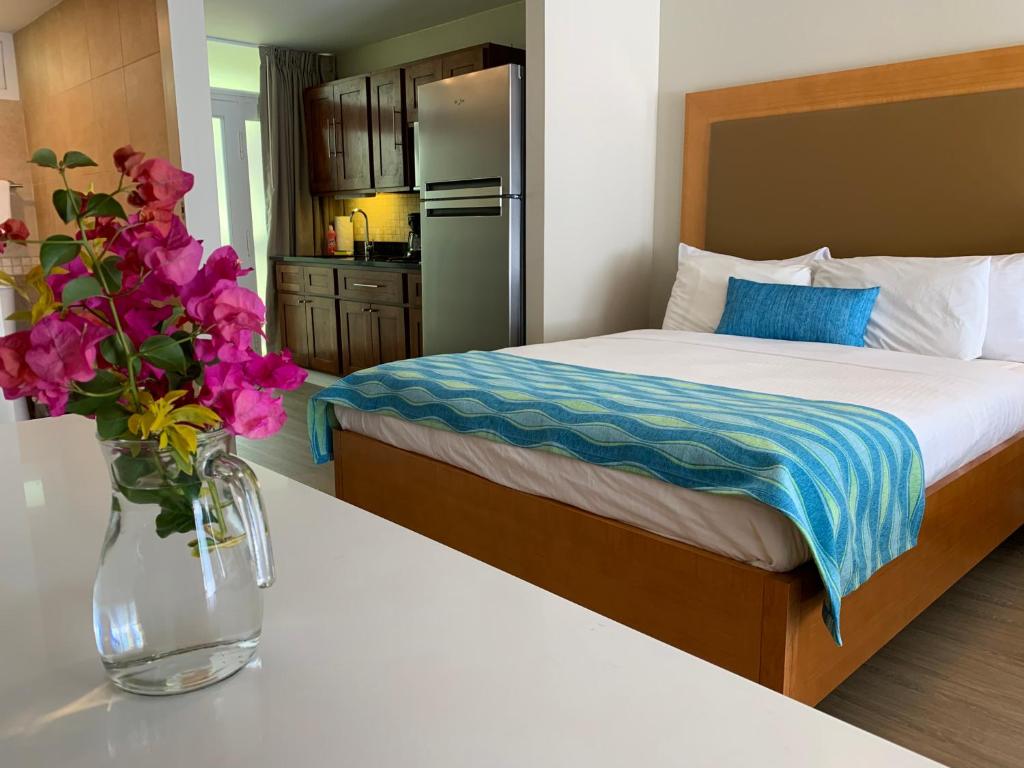 Divi Flamingo Beach Resort photo 1