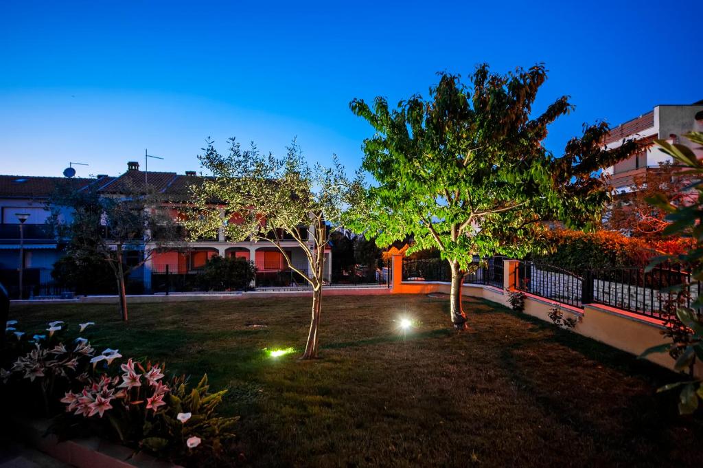 Apartments Euphemia photo 4