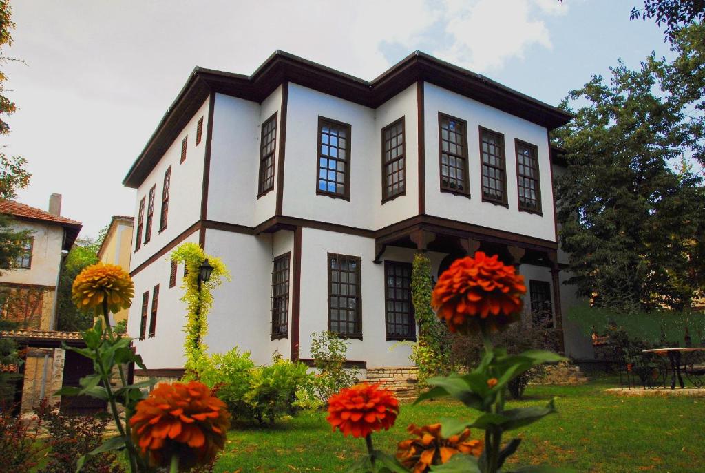 Mehves Hanim Konagi photo 2