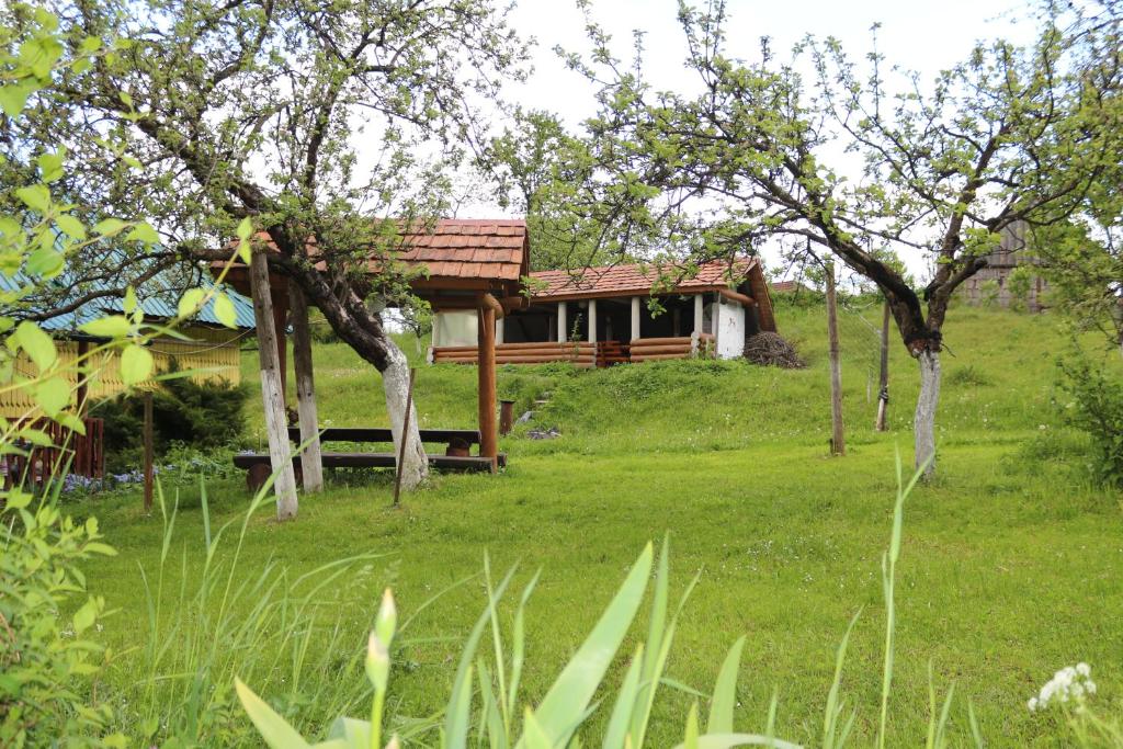 Sadyba Lukacha photo 3
