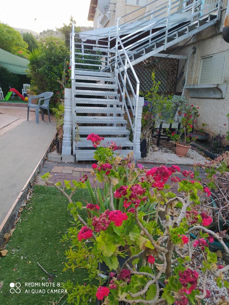 Aviv in Rosh Pina photo 4