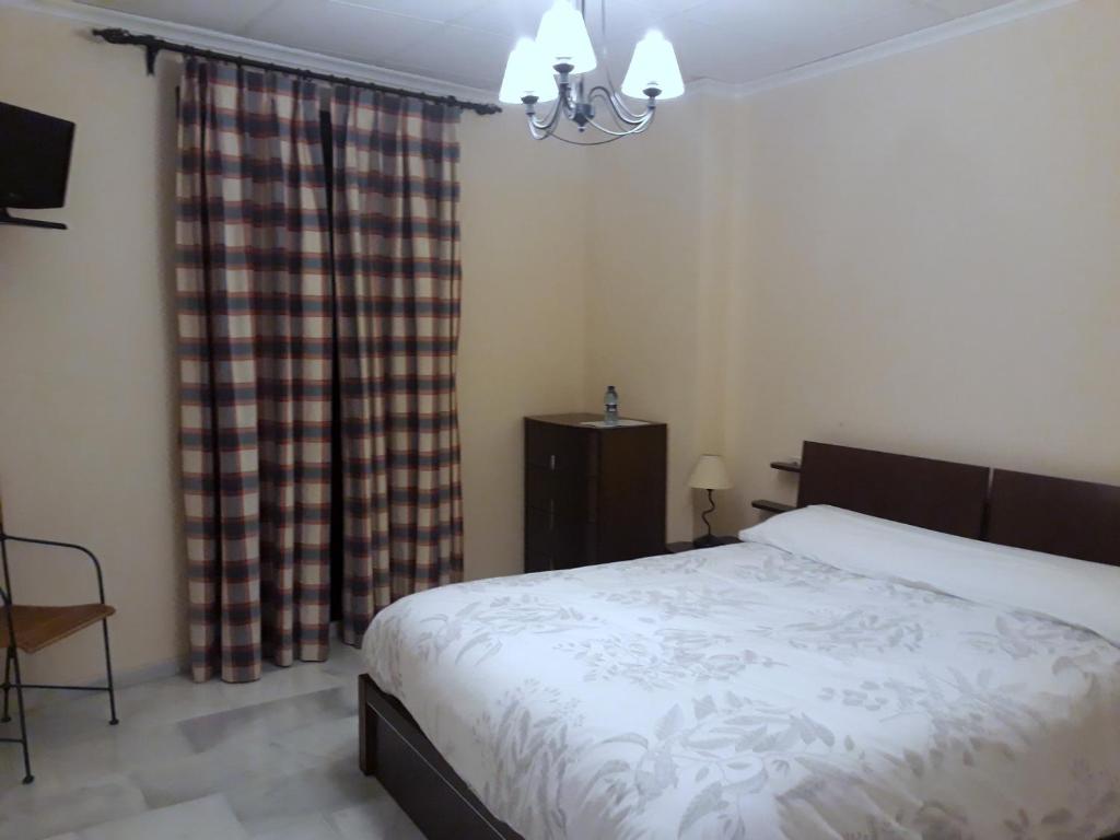 Hostal Artiga photo 4