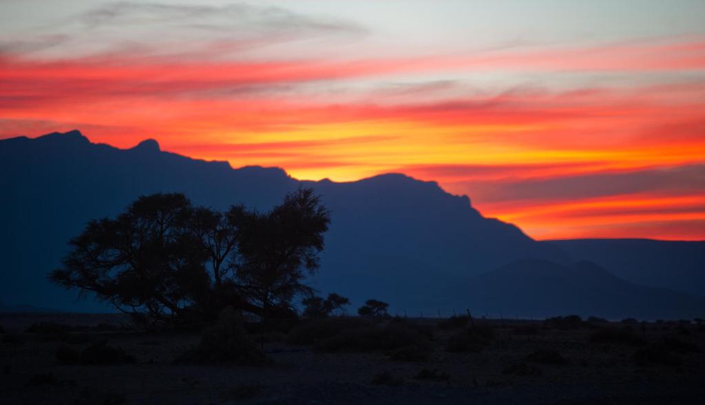 Namib Desert Campsite photo 2