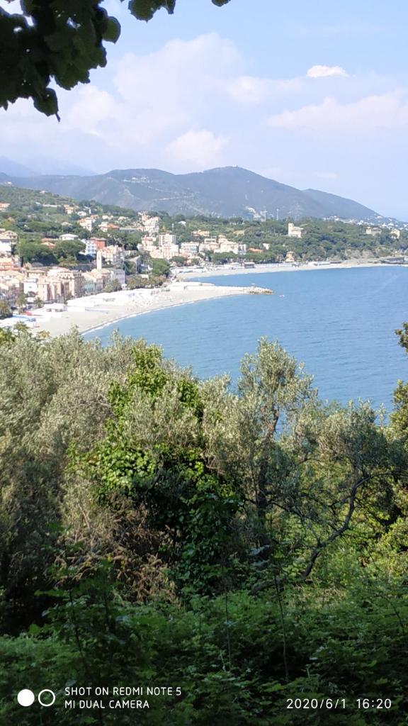 Hotel Tirreno photo 2