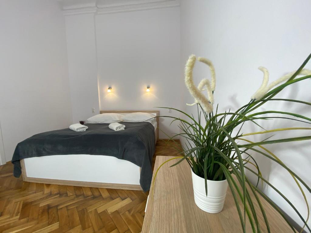 Апартаменты (Апартаменты Jana), P&J Apartments Floriańska