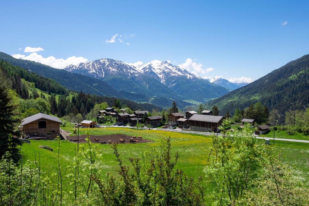 Chalet Orion photo 3