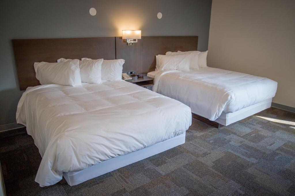 Bedrock Motel photo 1