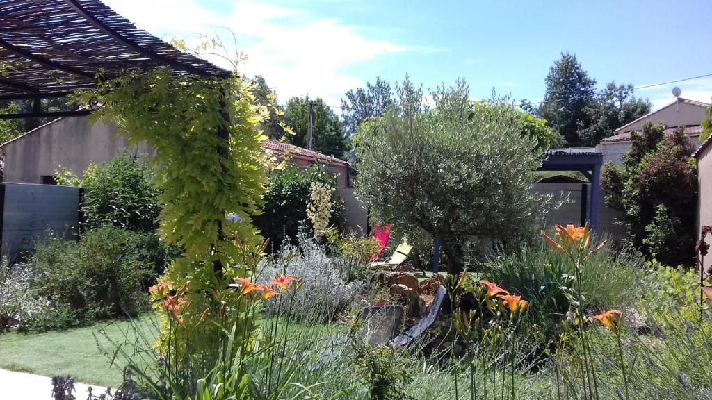 Eclats du Sud photo 4