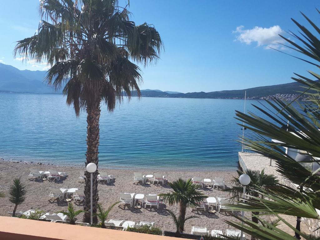 Apartmani Kalinic photo 1