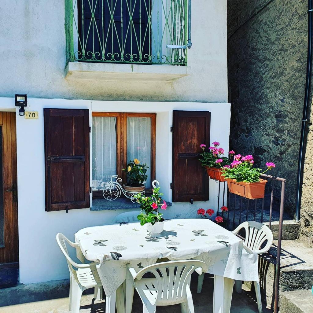 Coccinella House photo 2