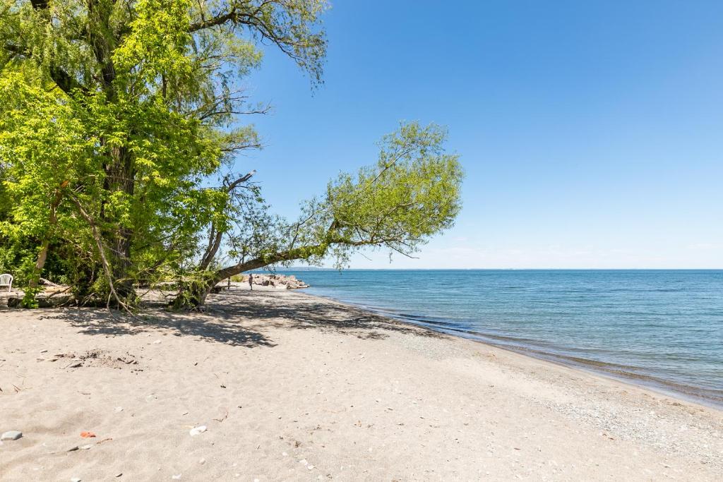 Modern Hamilton Homes Lake Ontario Shore by GLOBALSTAY photo 3