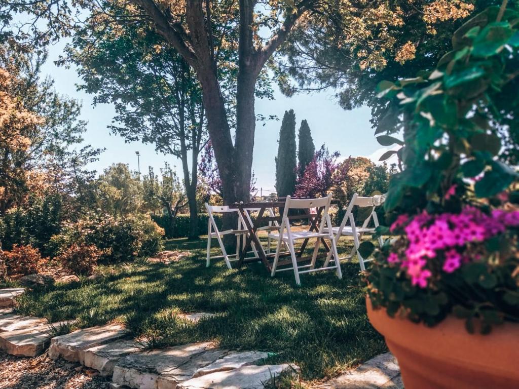 Agriturismo Santo Stefano photo 1